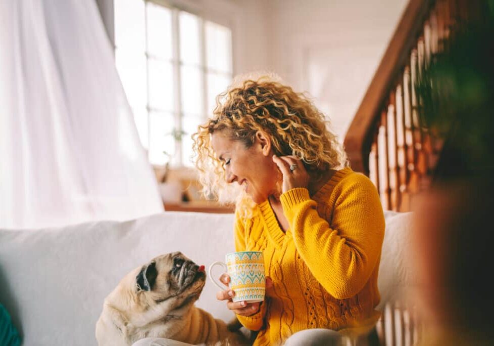 Adult female relaxes on a comfortable sofa at home while engaging with her beloved pug to share genuine comfort and unwavering support, reinforcing daily well-being and emotional balance throughout