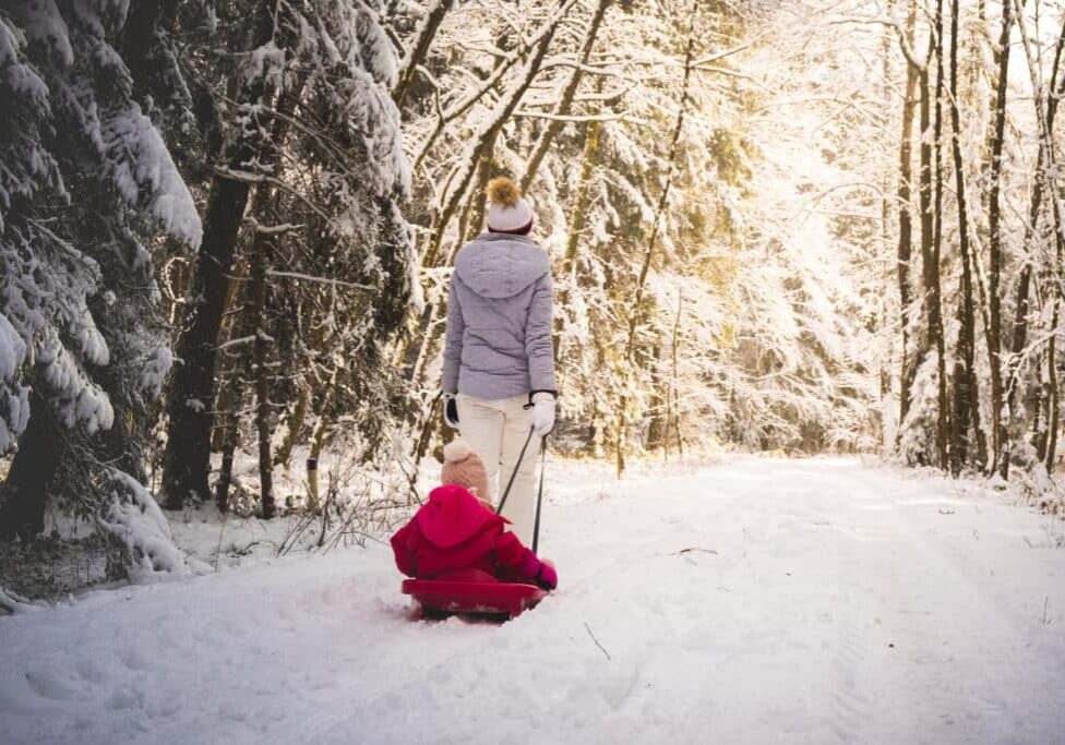 Mother pulling baby on a sled through winter forest.