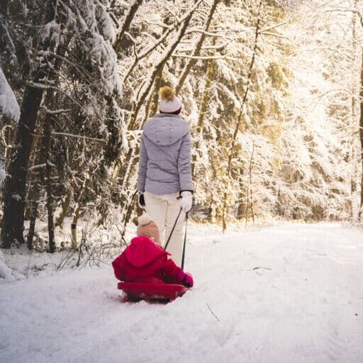 Mother pulling baby on a sled through winter forest.