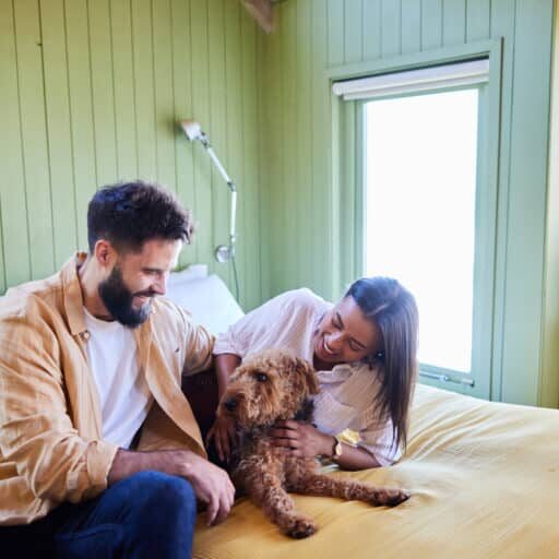 Young couple laughing while petting their dog while relaxing together in their bedroom at home