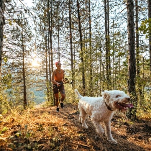 Shot of a young woman running in the forest with her  dog.