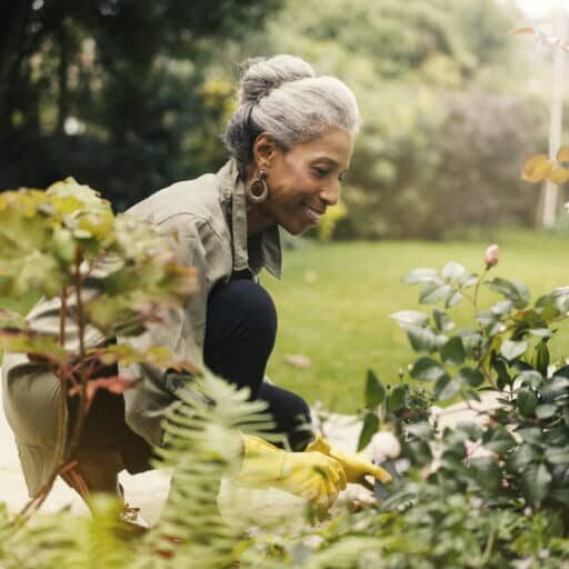 Side view of smiling senior woman crouching by plants. Happy retired female is gardening in back yard. She is wearing casuals.